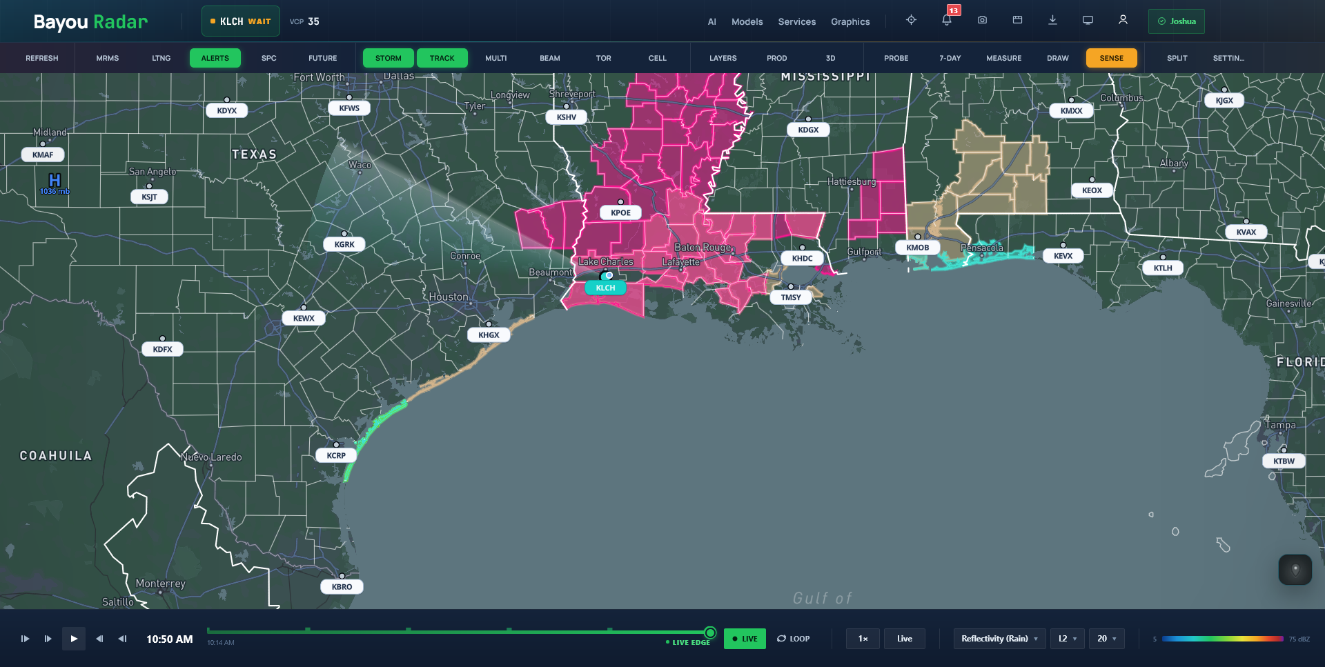 Bayou Radar website preview
